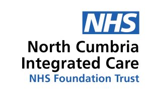 ncic rgb logo