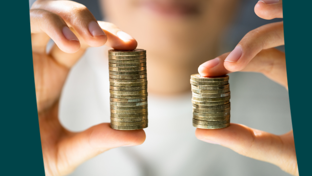 Graphic for the Pay Gap Action Planning Consultancy Package